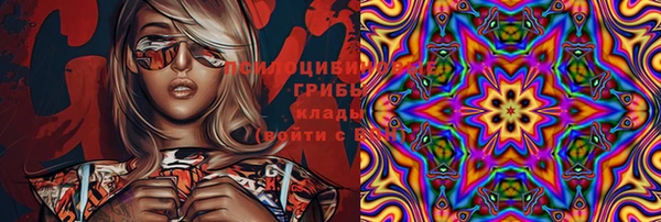 хмурый Волоколамск