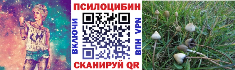 Псилоцибиновые грибы MAGIC MUSHROOMS  купить наркотики цена  Электрогорск 