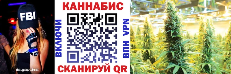 Бошки марихуана сатива  Электрогорск 